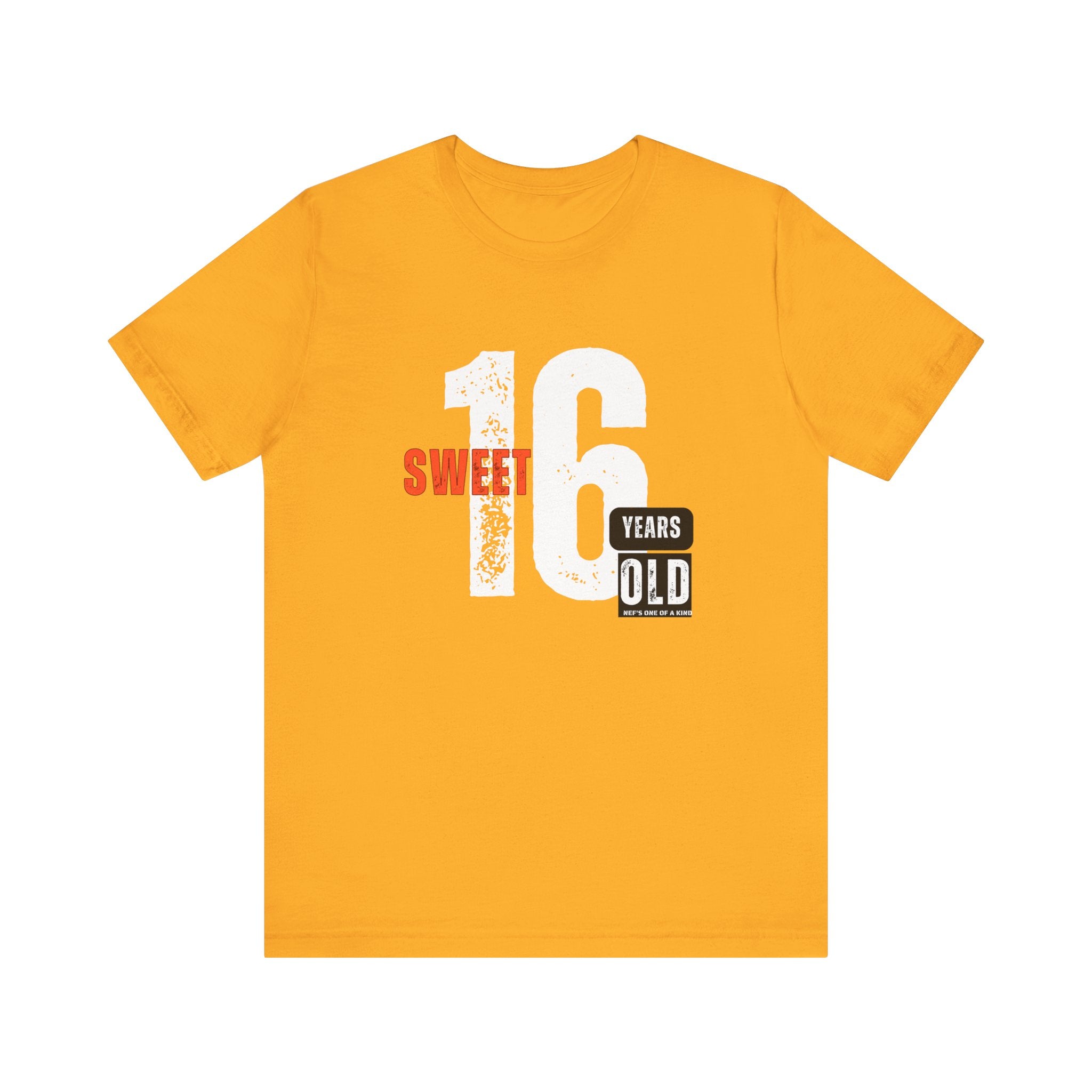 16year Old Unisex Adult Tee